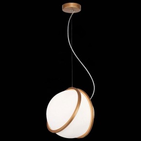 Подвесной светильник ST-Luce Acerra SL1181.353.01 в Урае - uray.mebel24.online | фото 4