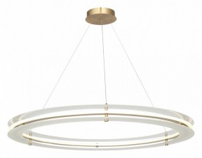 Подвесной светильник ST-Luce FAGY SL6245.213.01 в Урае - uray.mebel24.online | фото 4