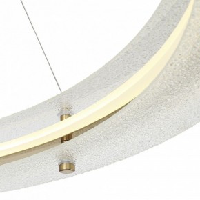 Подвесной светильник ST-Luce FAGY SL6245.213.01 в Урае - uray.mebel24.online | фото 6