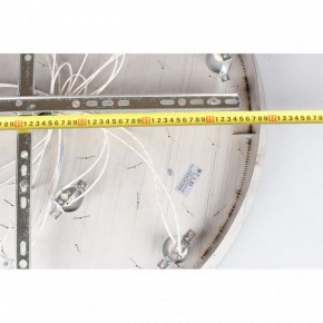 Потолочная люстра Aployt Teresa APL.855.06.10 в Урае - uray.mebel24.online | фото 16