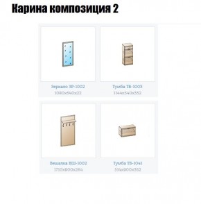 Прихожая Карина (модульная) в Урае - uray.mebel24.online | фото 6
