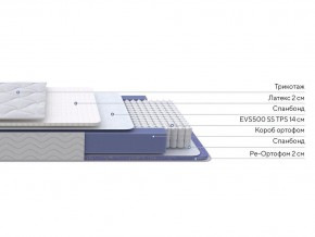 PROxSON Матрас Active Duo S/F (Ткань Трикотаж Эко) 120x190 в Урае - uray.mebel24.online | фото 2