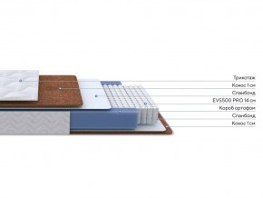 PROxSON Матрас Active F Roll (Ткань Трикотаж Эко) 90x190 в Урае - uray.mebel24.online | фото 2