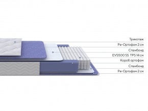 PROxSON Матрас Active F (Ткань Трикотаж Эко) 120x200 в Урае - uray.mebel24.online | фото 2