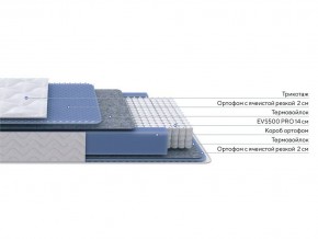 PROxSON Матрас Active M Roll (Ткань Трикотаж Эко) 120x195 в Урае - uray.mebel24.online | фото 2