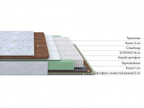 PROxSON Матрас Green Duo M/F (Tricotage Dream) 120x190 в Урае - uray.mebel24.online | фото 2