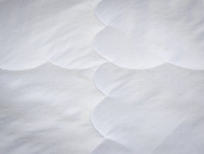 PROxSON Одеяло лёгкое PROSON (Стеганное полотно) 172x200 в Урае - uray.mebel24.online | фото 4