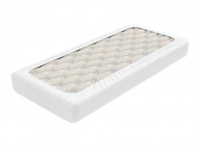 PROxSON Защитный чехол Aqua Save Light S (Ткань влагостойкая Tencel Jersey) 200x195 в Урае - uray.mebel24.online | фото 2