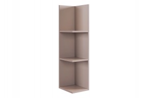 РИЧ Полка навесная 2 (кашемир) в Урае - uray.mebel24.online | фото 4