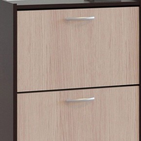 Шкаф для обуви ТО-24 в Урае - uray.mebel24.online | фото 4