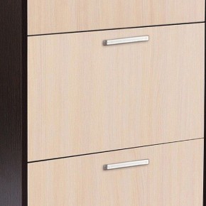 Шкаф для обуви УК-4 в Урае - uray.mebel24.online | фото 2