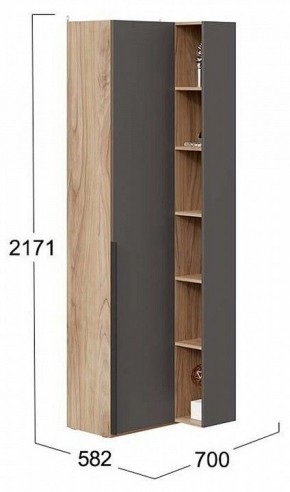 Шкаф комбинированный Порто СМ-393.21.024 в Урае - uray.mebel24.online | фото 2
