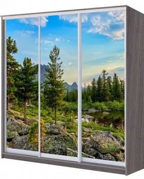Шкаф-купе ХИТ 22-20/2-777 ПРИРОДА в Урае - uray.mebel24.online | фото