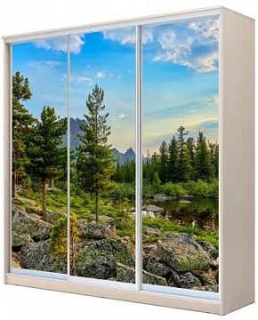 Шкаф-купе ХИТ 22-20-777 ПРИРОДА в Урае - uray.mebel24.online | фото