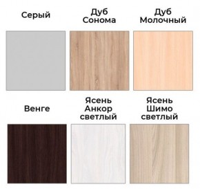 Шкаф-купе ХИТ 22-4-17-55 (420) в Урае - uray.mebel24.online | фото 3
