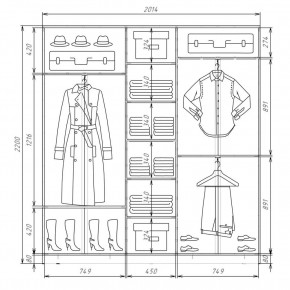 Шкаф-купе ХИТ 22-4-20-111 (420) в Урае - uray.mebel24.online | фото 2