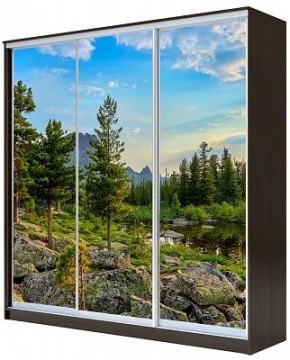 Шкаф-купе ХИТ 23-20/2-777 ПРИРОДА в Урае - uray.mebel24.online | фото