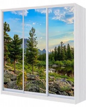 Шкаф-купе ХИТ 23-4-20/2-777 ПРИРОДА в Урае - uray.mebel24.online | фото