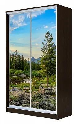 Шкаф-купе ХИТ 24-12/2-77 ПРИРОДА в Урае - uray.mebel24.online | фото