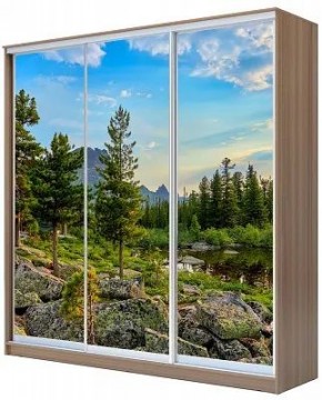 Шкаф-купе ХИТ 24-18-777 ПРИРОДА в Урае - uray.mebel24.online | фото