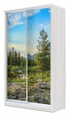 Шкаф-купе ХИТ 24-4-15-77 ПРИРОДА в Урае - uray.mebel24.online | фото