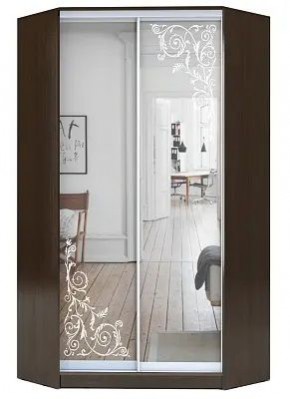 Шкаф-купе ХИТ-У-23-4-66 ОРНАМЕНТ в Урае - uray.mebel24.online | фото