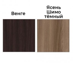 Шкаф-купе Рене 1500 вариант 1 (ЛДСП/ЛДСП) в Урае - uray.mebel24.online | фото 3