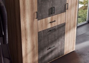 Шкаф Нельсон ШК-03 (Шкаф Дуб каньон/Железный камень) в Урае - uray.mebel24.online | фото 5