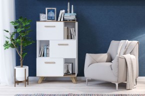 Шкаф низкий с нишами Вега Скандинавия в Урае - uray.mebel24.online | фото 4