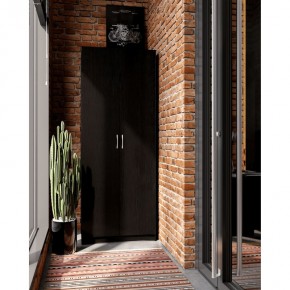 Шкаф ПЕГАС двухдверный, цвет Дуб Венге в Урае - uray.mebel24.online | фото 4
