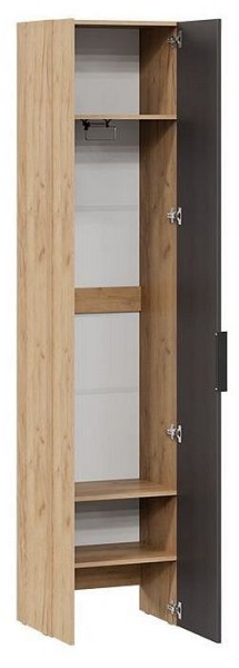 Шкаф платяной Асти в Урае - uray.mebel24.online | фото 2