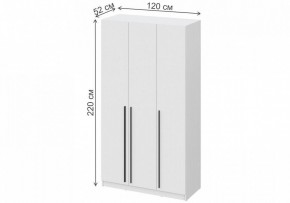 Шкаф платяной Бирма ШК-1200 в Урае - uray.mebel24.online | фото 4