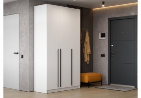 Шкаф платяной Бирма ШК-1200 в Урае - uray.mebel24.online | фото 5