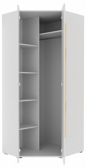 Шкаф платяной Куба 1725.М3 в Урае - uray.mebel24.online | фото 11
