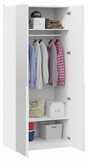 Шкаф платяной Порто СМ-393.07.004 в Урае - uray.mebel24.online | фото 4