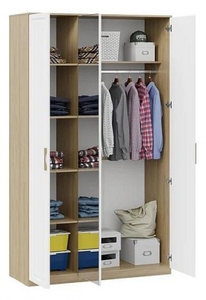 Шкаф платяной Сэнди в Урае - uray.mebel24.online | фото 3