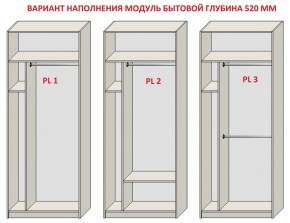 Шкаф распашной серия «ЗЕВС» (PL3/С1/PL2) Серый камень/Небраска натуральный в Урае - uray.mebel24.online | фото 5
