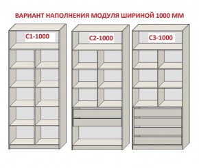 Шкаф распашной серия «ЗЕВС» (PL3/С1/PL2) Серый камень/Небраска натуральный в Урае - uray.mebel24.online | фото 7