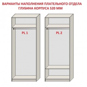 Шкаф распашной серия «ЗЕВС» (PL3/С1/PL2) Серый камень/Небраска натуральный в Урае - uray.mebel24.online | фото 9