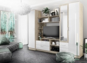 СОФИ Гостиная (модульная) дуб сонома/белый глянец в Урае - uray.mebel24.online | фото