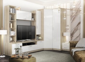 СОФИ Гостиная (модульная) дуб сонома/белый глянец в Урае - uray.mebel24.online | фото 27
