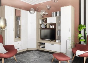 СОФИ Гостиная (модульная) дуб сонома/белый глянец в Урае - uray.mebel24.online | фото 28