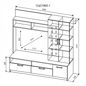 СОФИ Гостиная (модульная) дуб сонома/белый глянец в Урае - uray.mebel24.online | фото 9