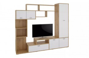 Стенка Диско (СТЛ.150.01) Дуб дикий/Белый в Урае - uray.mebel24.online | фото