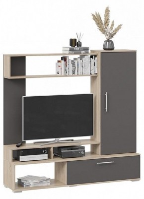 Стенка для гостиной Сиена в Урае - uray.mebel24.online | фото 2