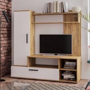 Гостиная Евро 2 (крафт/белый) в Урае - uray.mebel24.online | фото