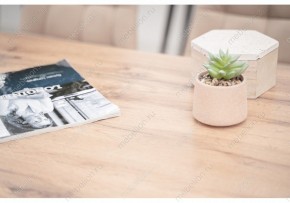 Стол обеденный Тринити Лофт 120 в Урае - uray.mebel24.online | фото 6