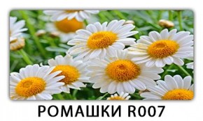Стол раздвижной Трилогия с фотопечатью Доска D111 в Урае - uray.mebel24.online | фото 15