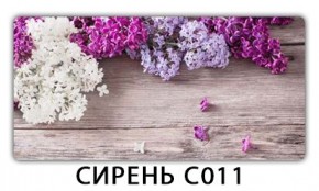 Стол раздвижной Трилогия с фотопечатью Доска D111 в Урае - uray.mebel24.online | фото 16