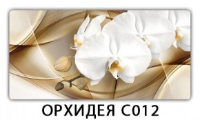 Стол раздвижной Трилогия с фотопечатью Доска D112 в Урае - uray.mebel24.online | фото 13